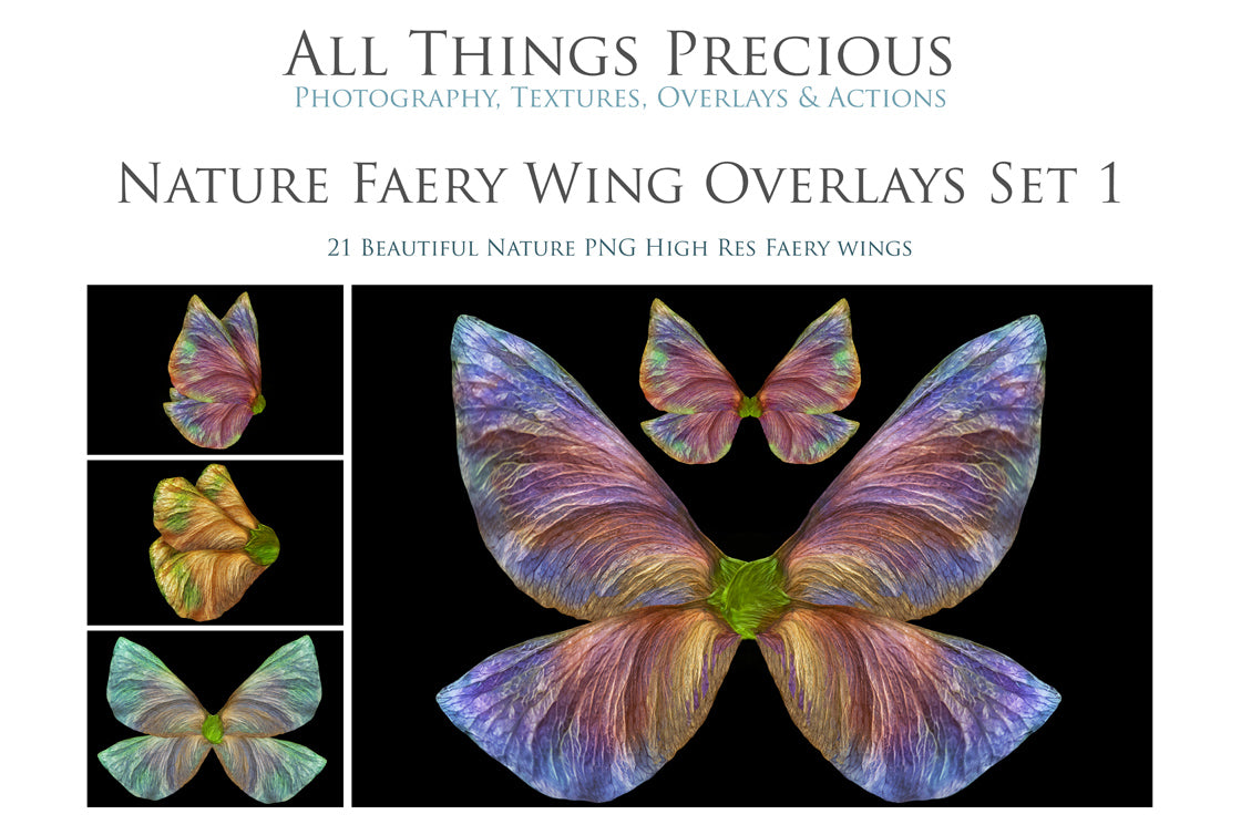 Fairy Wing Overlays For Photographers, Photoshop, Digital art and Creatives. Butterfly fairy wings, Png overlays for photoshop. Photography editing. High resolution, 300dpi. Overlay for photography. Digital stock and resources. Graphic design. Wings for Photos. Colourful Faerie Wings. Overlays for Edits.